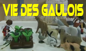 Vie des gaulois
